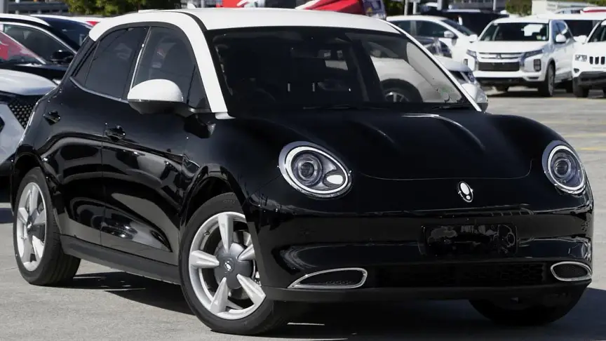 Ora good cat black 1