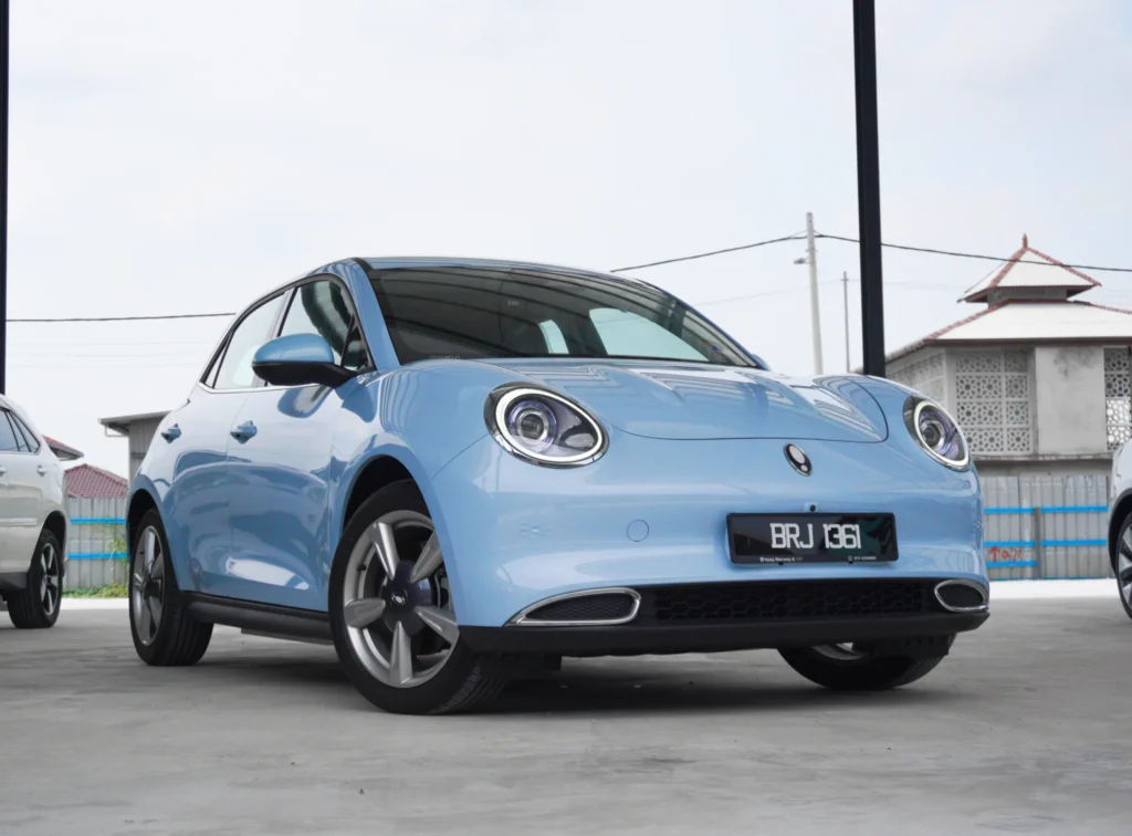 ora cat coral blue 2