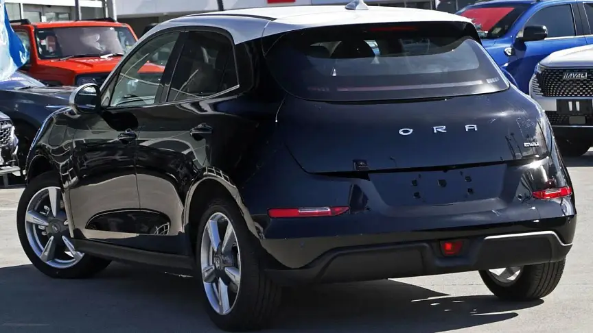 ora good cat black 2